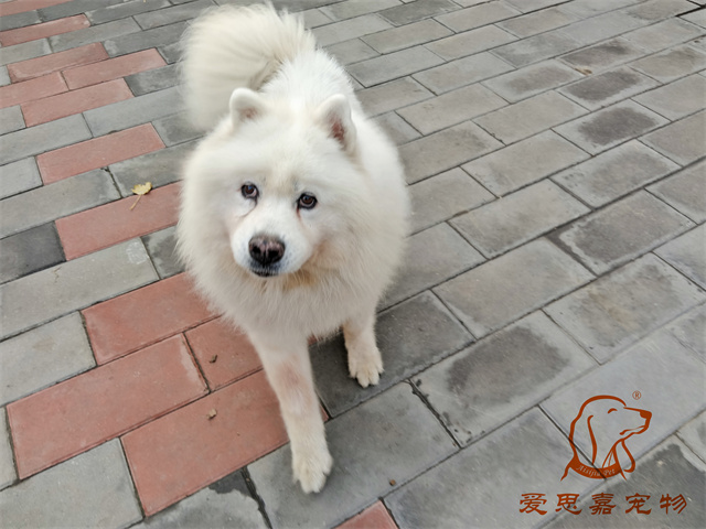 熊熊 (2).jpg