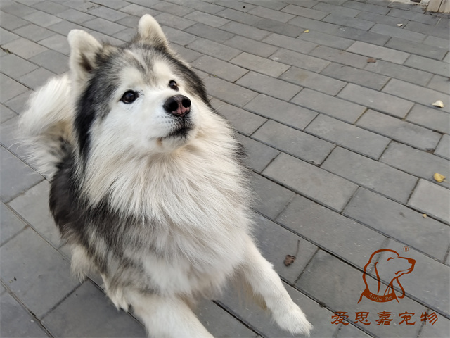 極光 (1).jpg