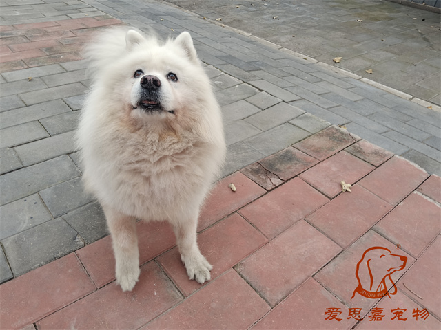 熊熊 (3).jpg