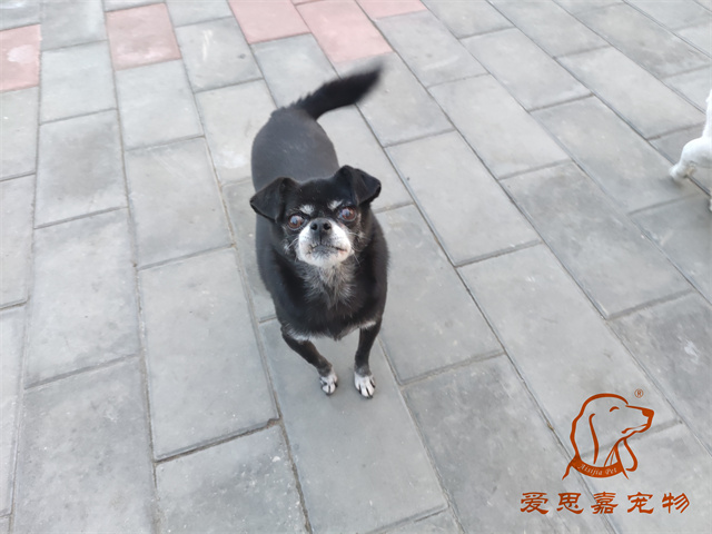 小白小黑 (3).jpg