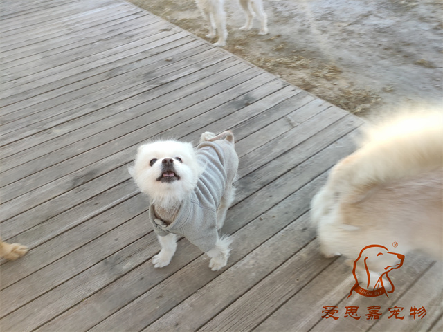 小白小黑 (3).jpg